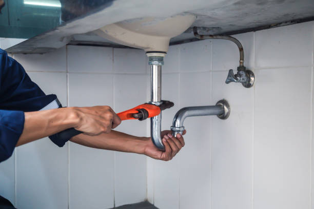 Best Best Plumbers Near Me  in Wabasha, MN