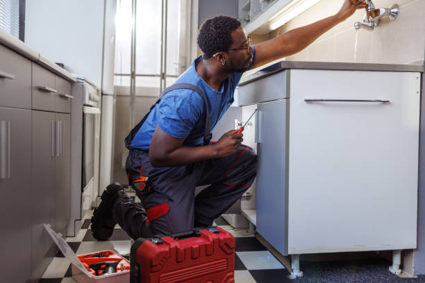 Best Water Softener Installation  in Wabasha, MN