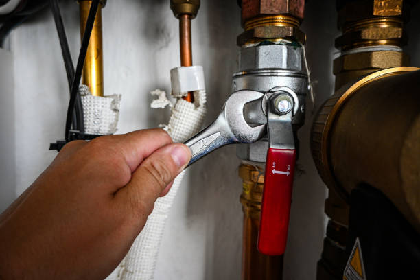 Best Water Leak Repair  in Wabasha, MN